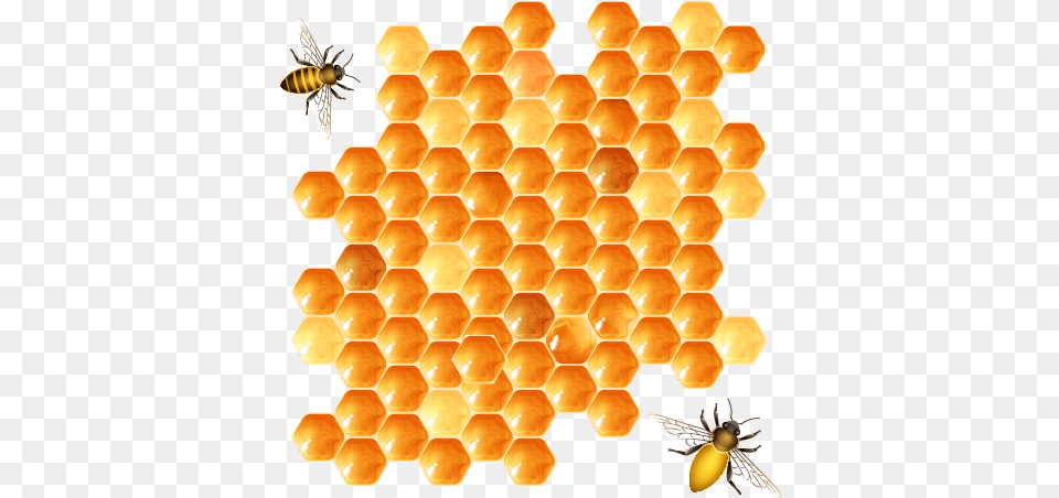 Food, Honey, Honeycomb, Animal Png Image