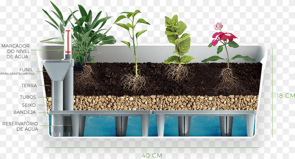 Vase, Soil, Pottery, Potted Plant Png Image