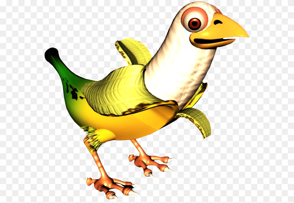 Image, Animal, Beak, Bird, Baby Png
