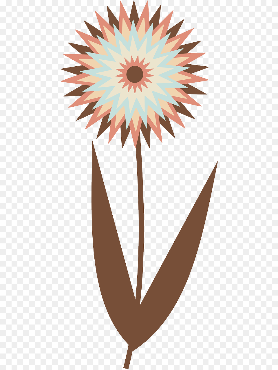 Image, Dahlia, Daisy, Flower, Plant Free Transparent Png