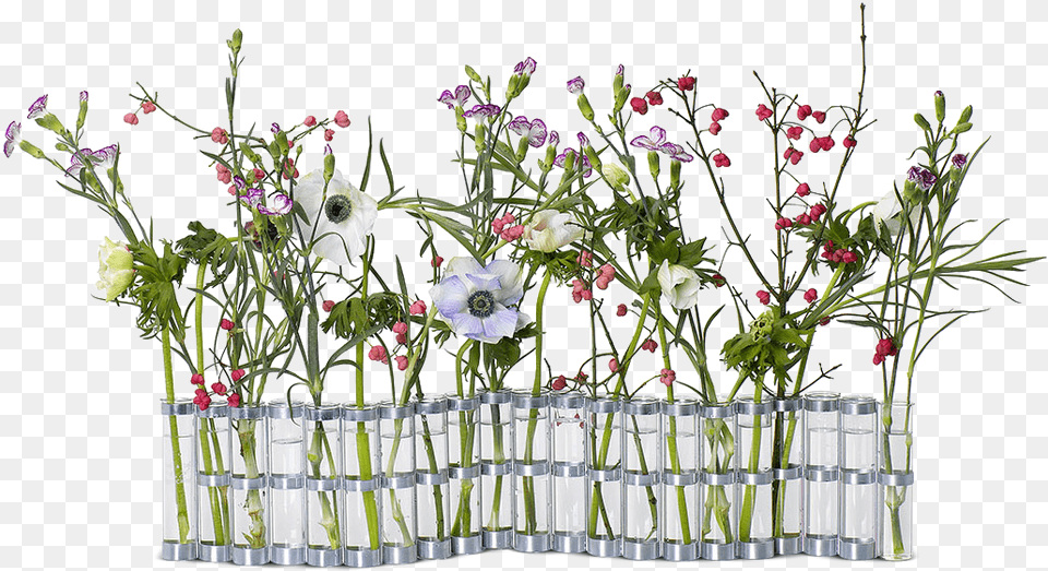 Image, Art, Pottery, Potted Plant, Plant Png