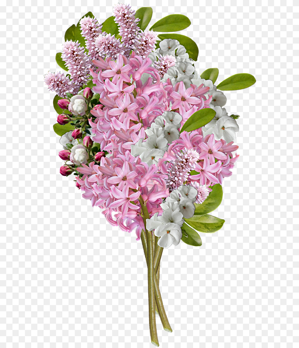 Image, Flower, Flower Arrangement, Flower Bouquet, Plant Free Png