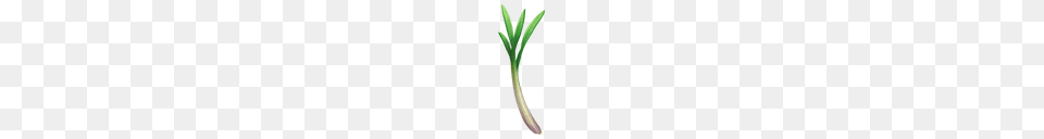 Food, Leek, Plant, Produce Png Image