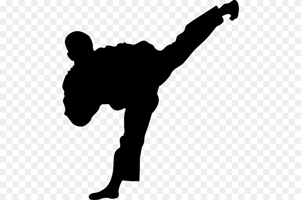 Image, Martial Arts, Person, Sport, Adult Free Png