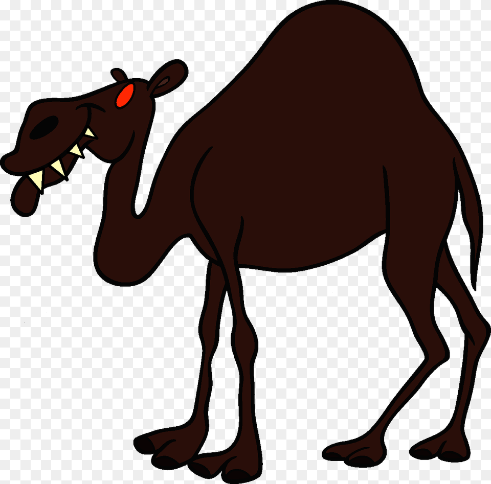 Image, Animal, Camel, Mammal, Kangaroo Free Transparent Png