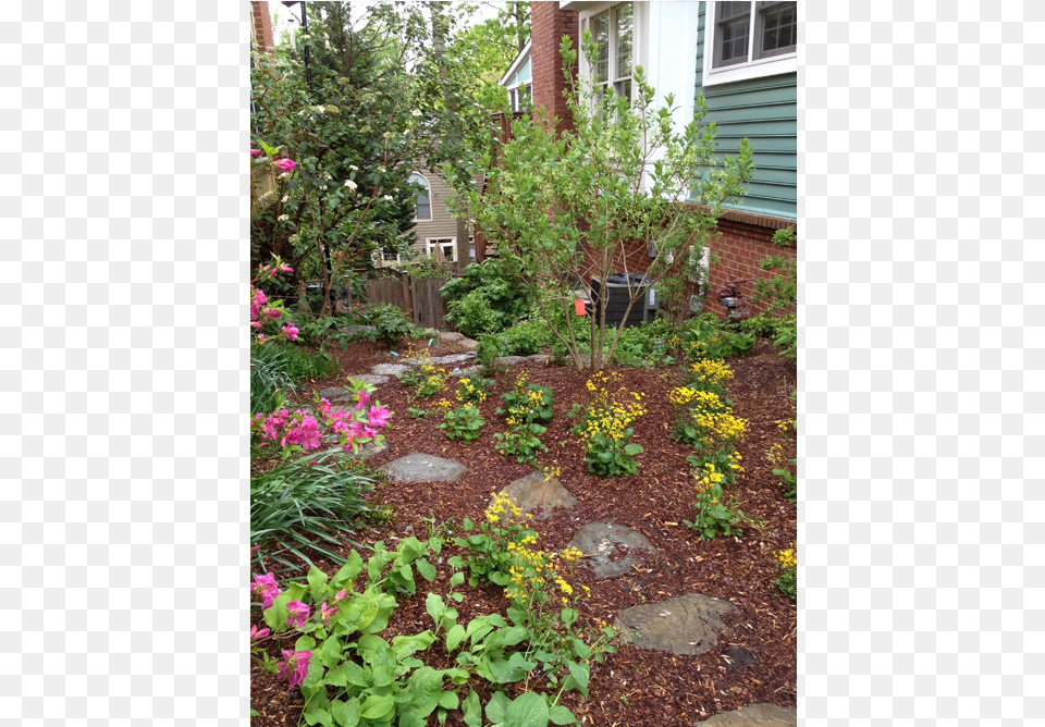 Image, Backyard, Soil, Yard, Outdoors Free Png Download