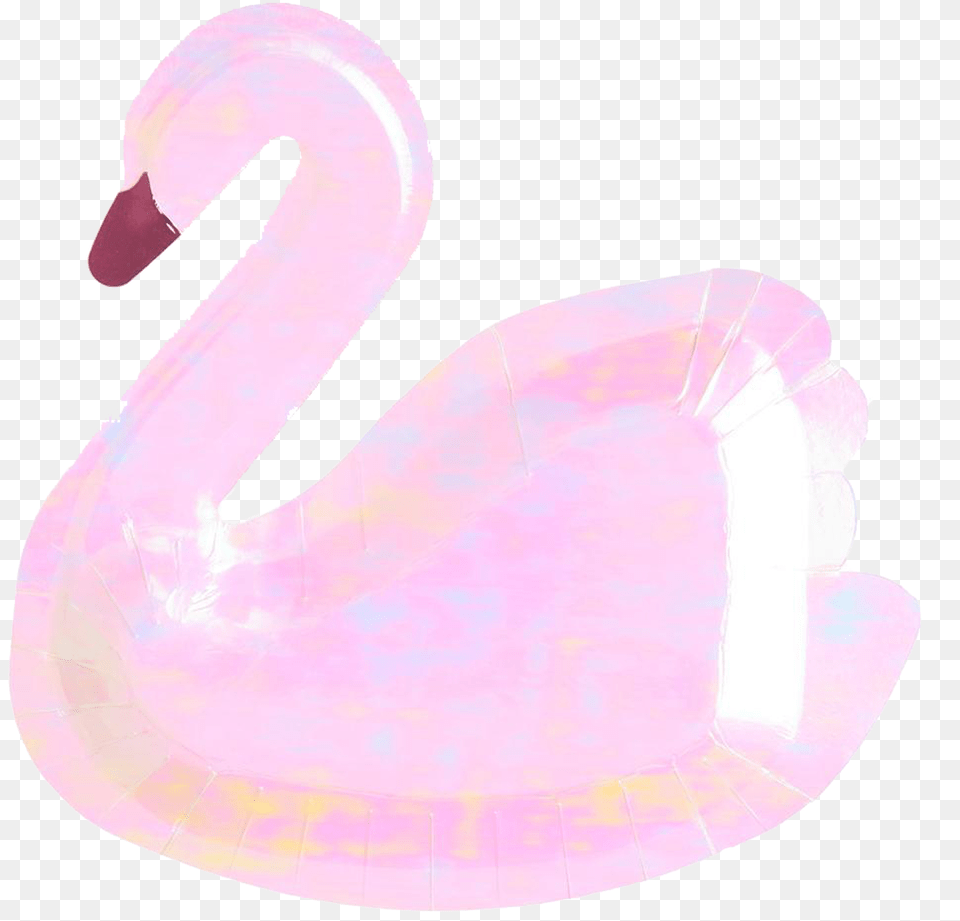 Animal, Bird, Flamingo, Swan Png Image