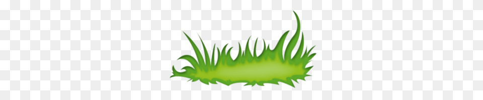 Image, Green, Moss, Plant, Grass Free Transparent Png
