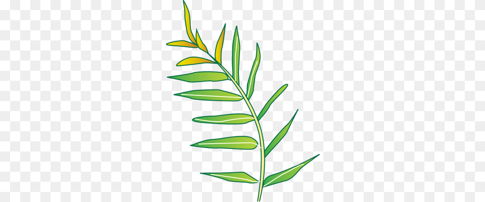 Leaf, Tree, Plant, Grass Png Image