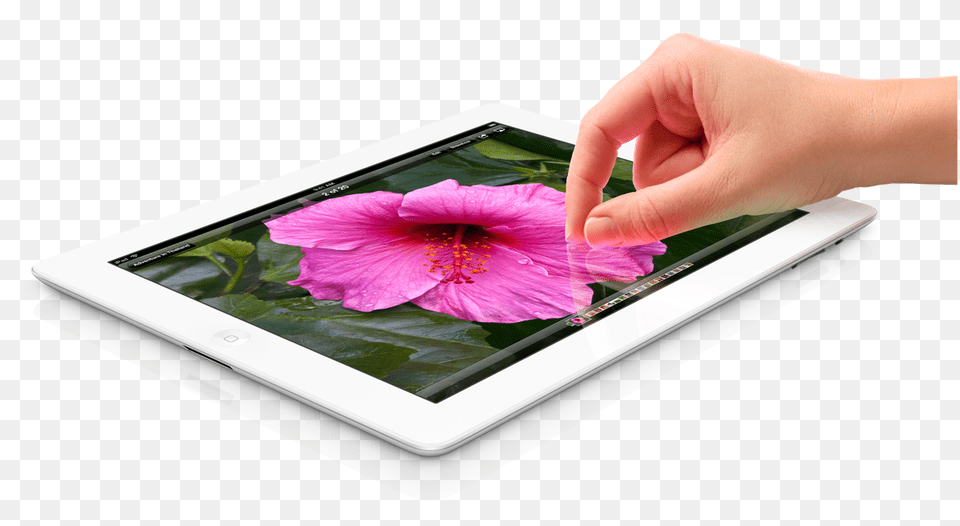 Image, Computer, Electronics, Tablet Computer, Flower Free Png