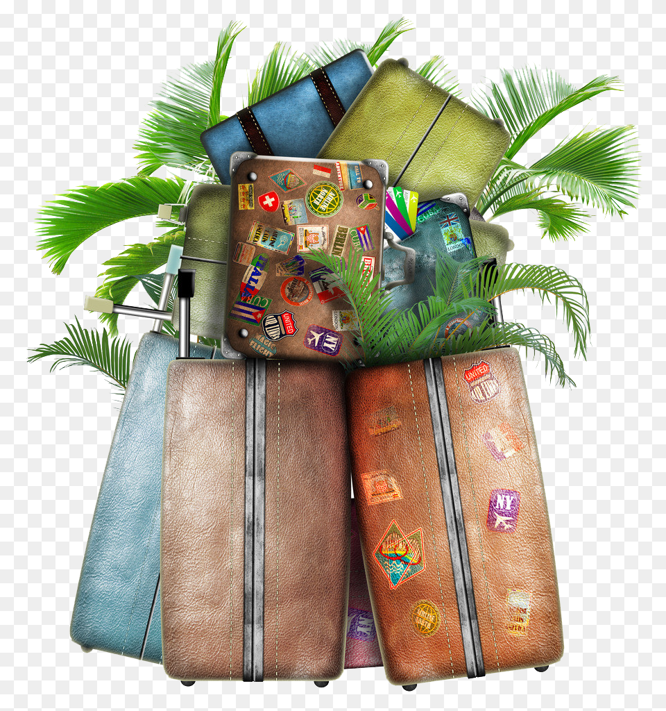 Baggage, Suitcase, Accessories, Bag Png Image