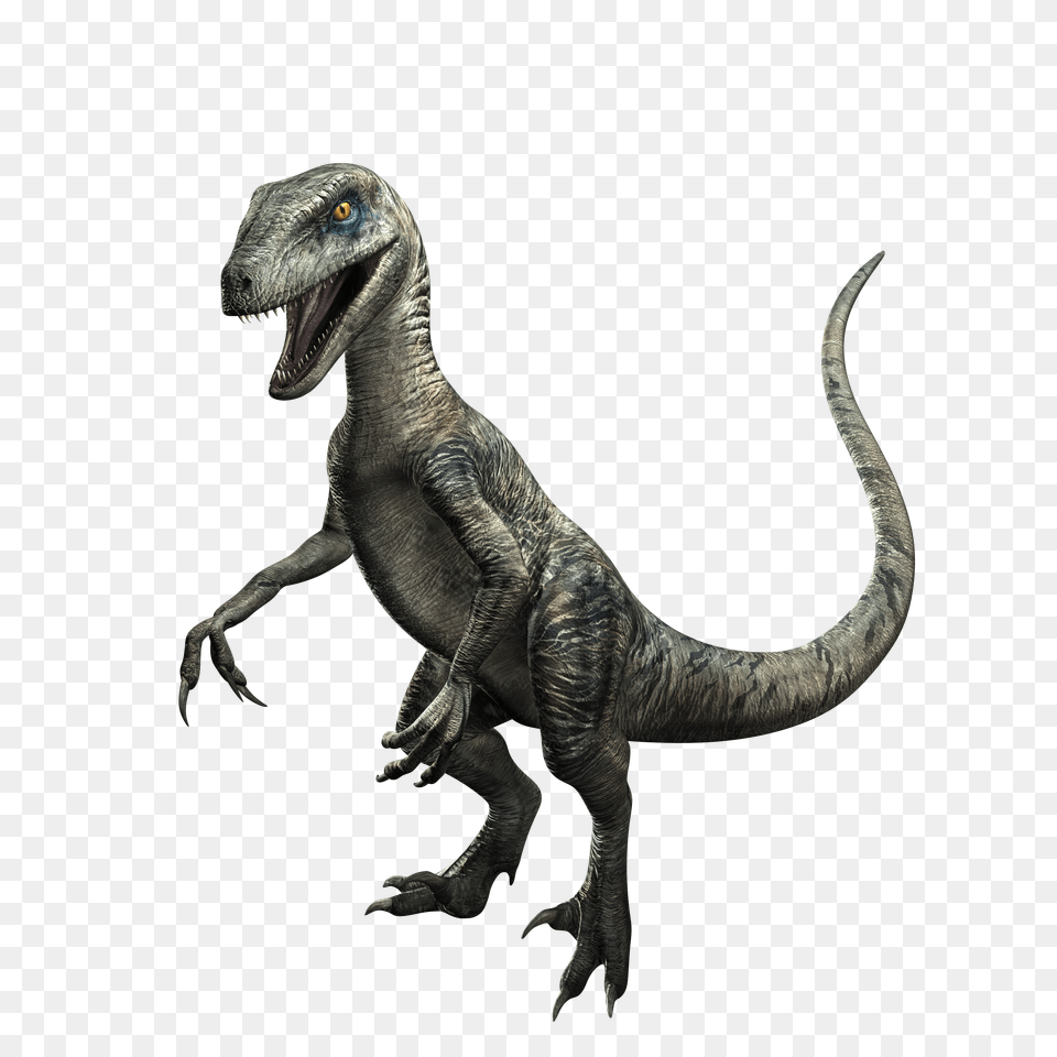 Image, Animal, Dinosaur, Reptile, T-rex Free Png