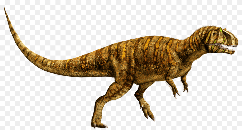 Image, Animal, Dinosaur, Reptile, T-rex Free Transparent Png