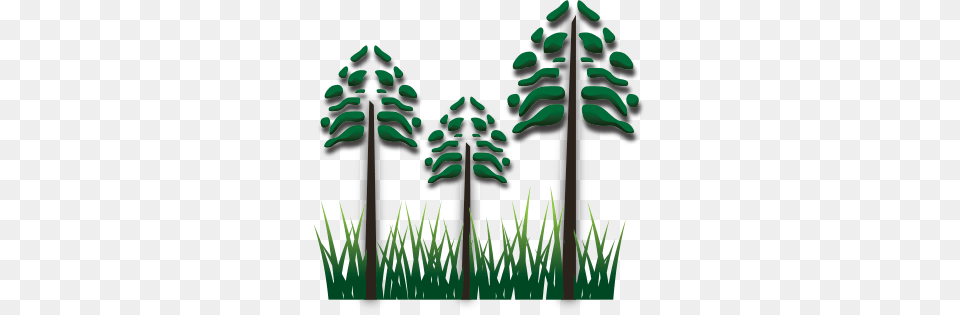 Image, Green, Vegetation, Tree, Plant Free Png