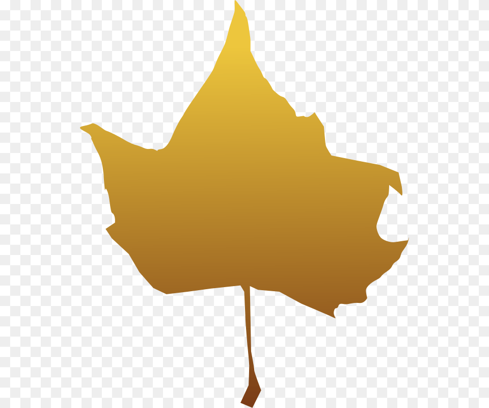 Image, Leaf, Plant, Maple Leaf, Person Free Transparent Png