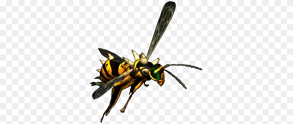 Image, Animal, Bee, Insect, Invertebrate Png