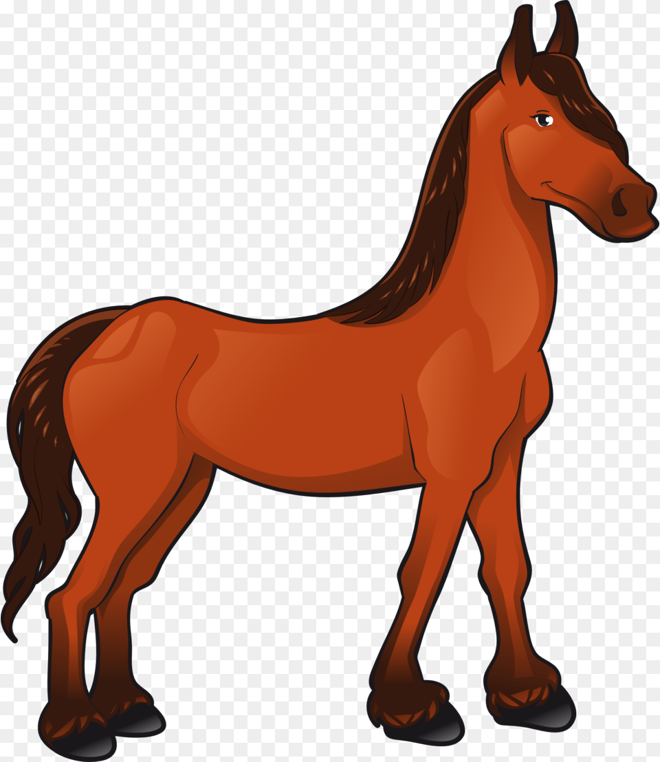 Animal, Colt Horse, Horse, Mammal Png Image