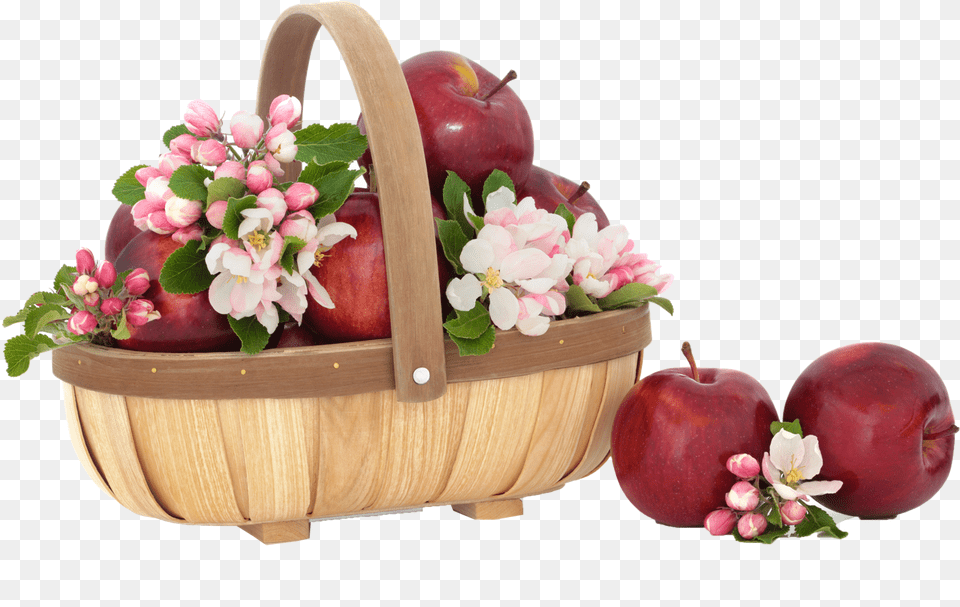 Apple, Food, Fruit, Plant Png Image