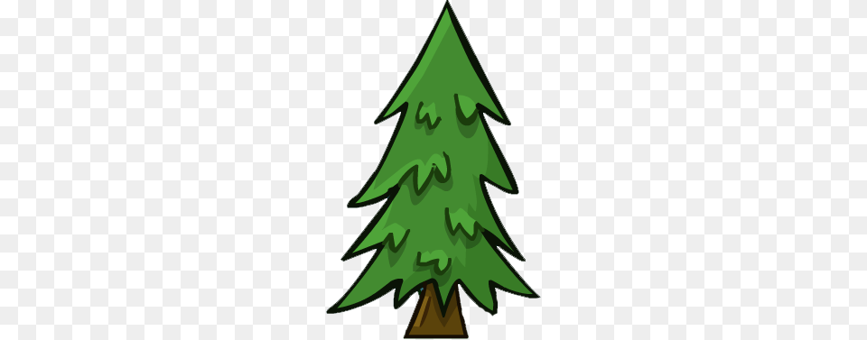 Fir, Plant, Tree, Green Png Image