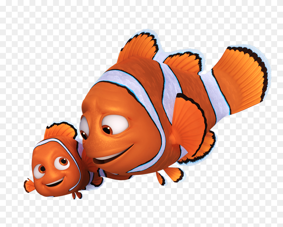 Image, Amphiprion, Animal, Fish, Sea Life Free Png