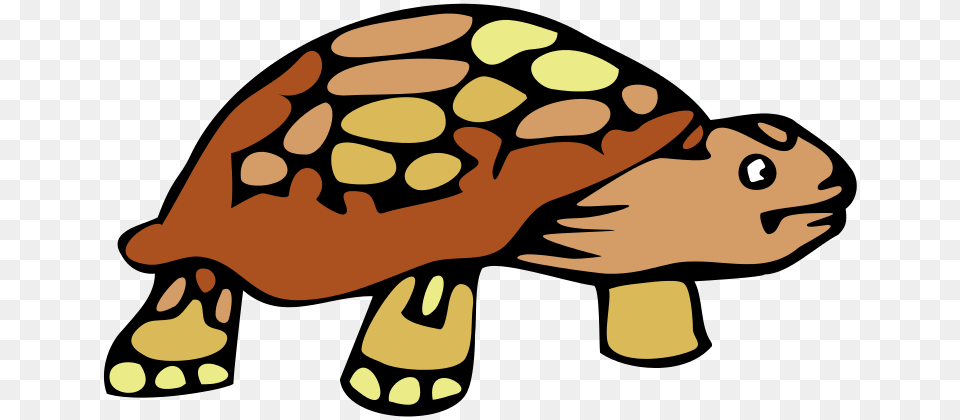 Image, Animal, Reptile, Sea Life, Tortoise Free Transparent Png