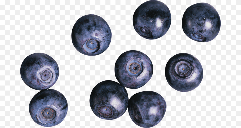 Image, Berry, Blueberry, Food, Fruit Free Transparent Png