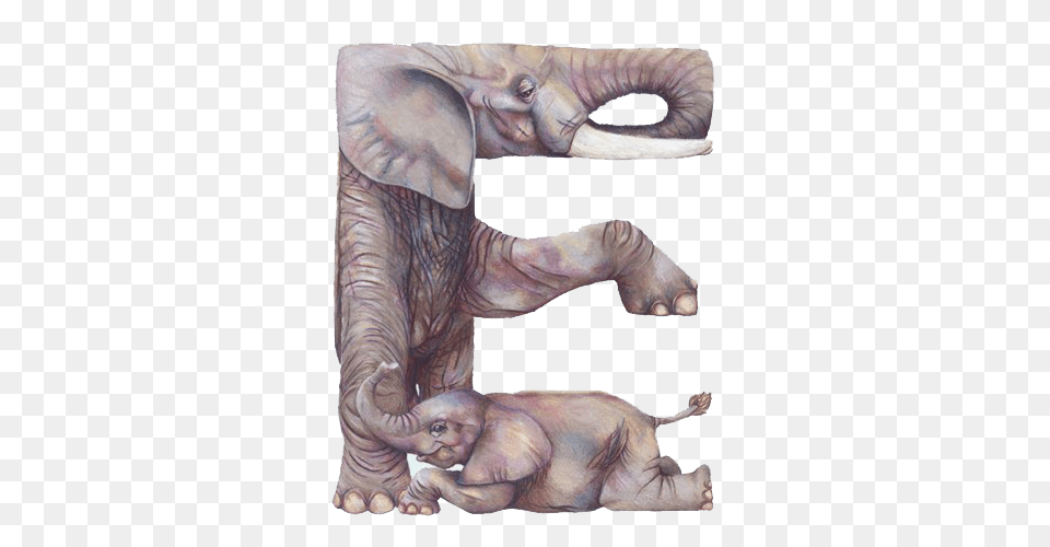 Image, Animal, Elephant, Mammal, Wildlife Free Transparent Png