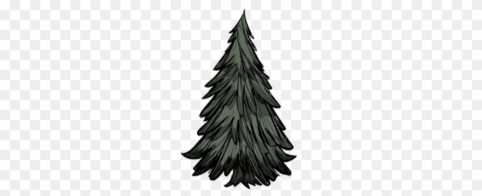 Image, Plant, Tree, Fir, Christmas Free Png