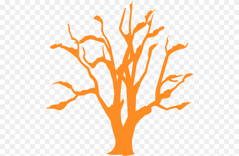 Image, Plant, Tree, Wood, Art Png