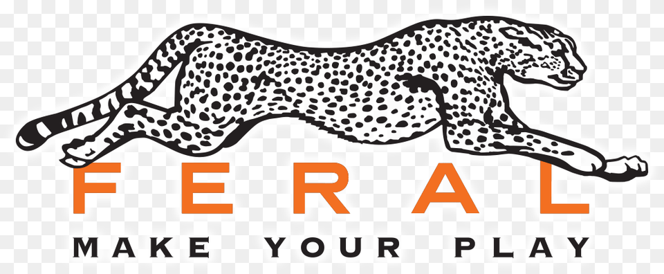 Animal, Cheetah, Mammal, Wildlife Png Image