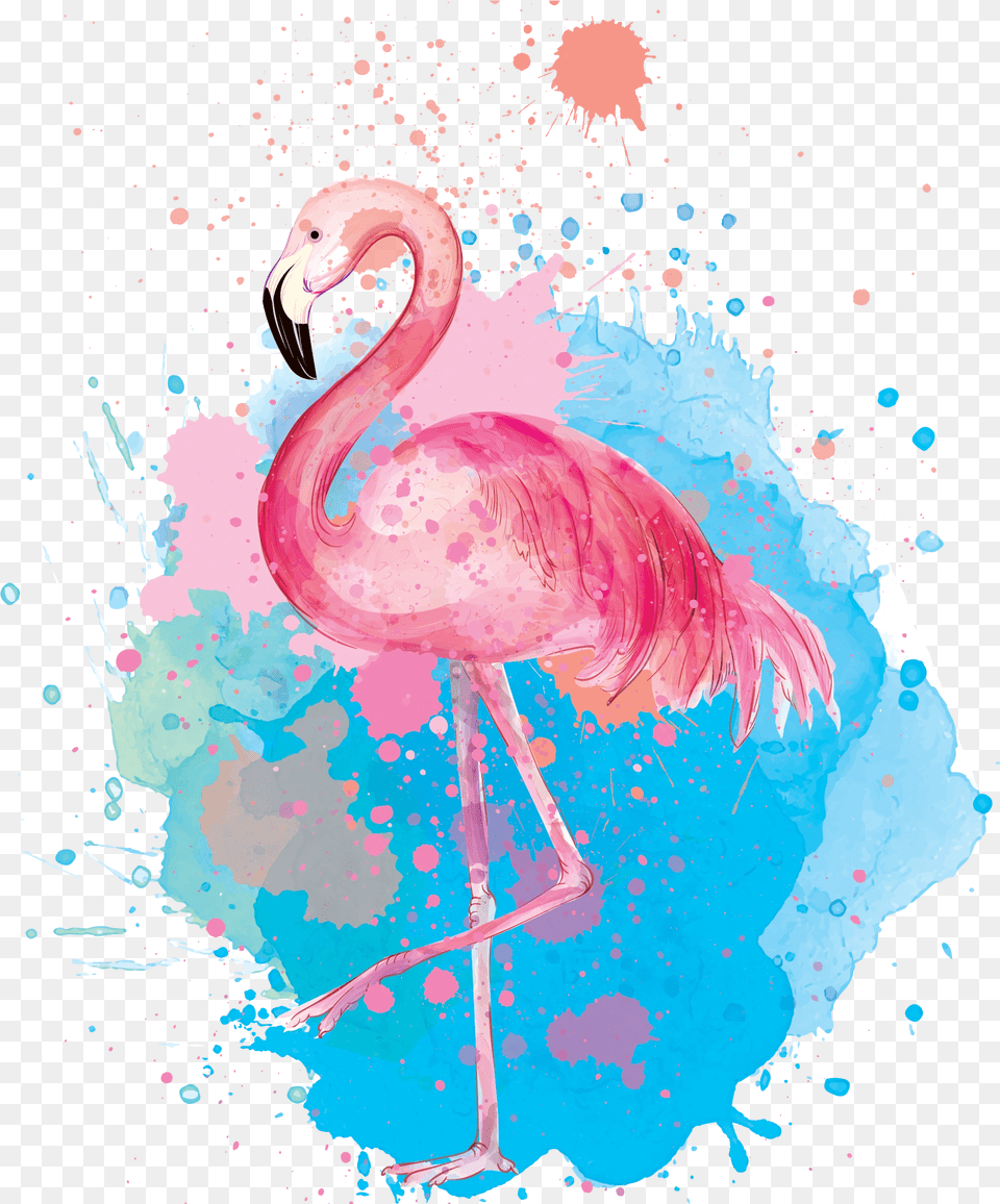 Image, Animal, Bird, Flamingo Png