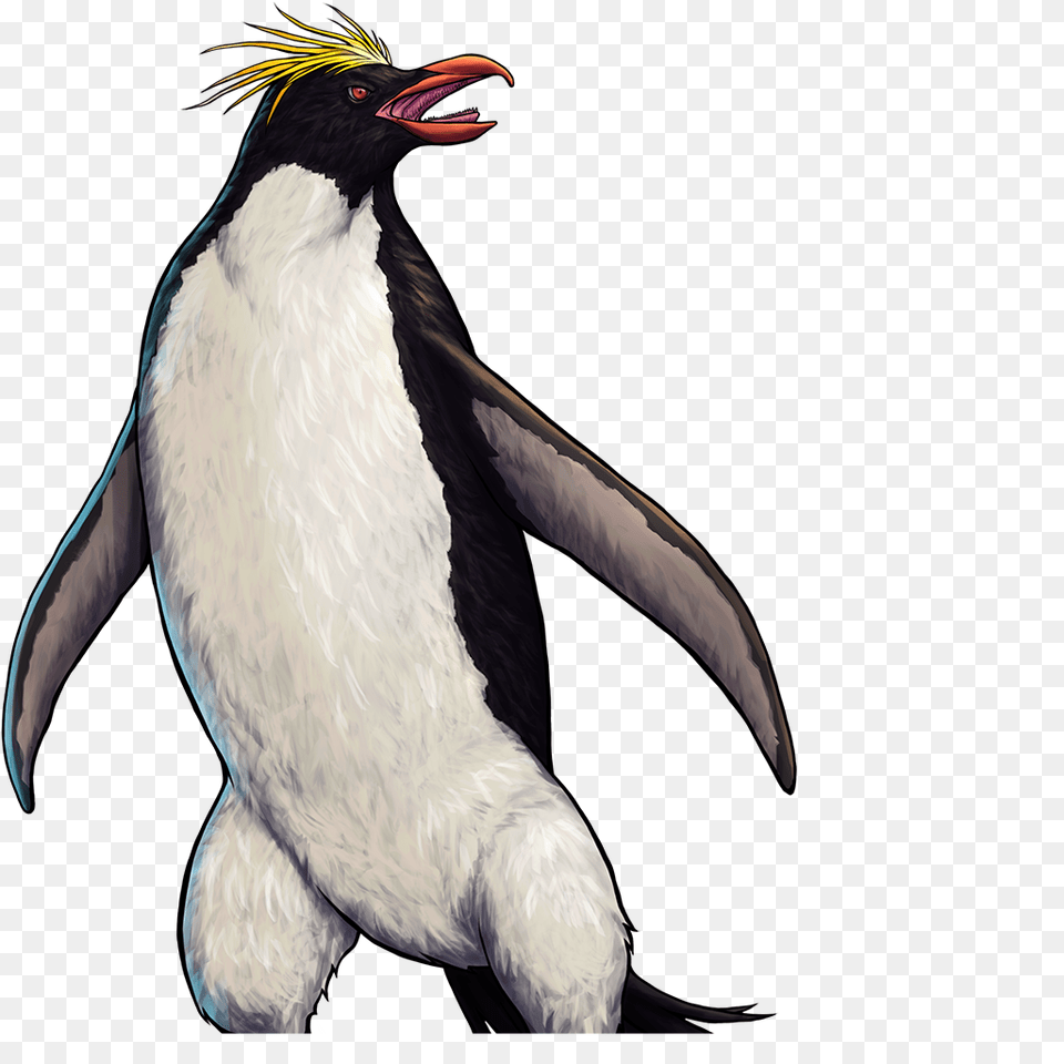 Image, Animal, Bird, Penguin Free Png Download