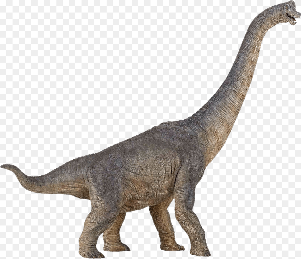 Image, Animal, Dinosaur, Reptile, T-rex Free Transparent Png