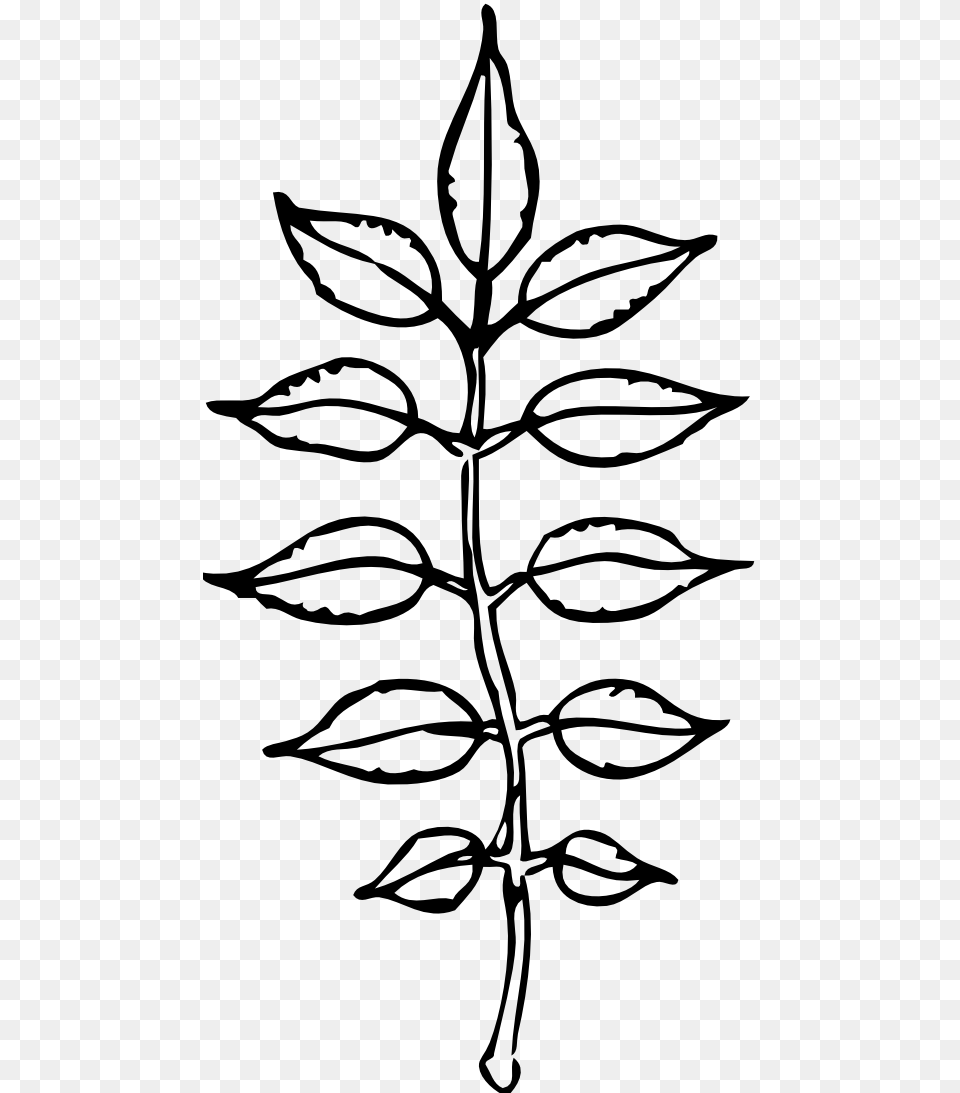 Image, Leaf, Plant, Stencil, Art Png