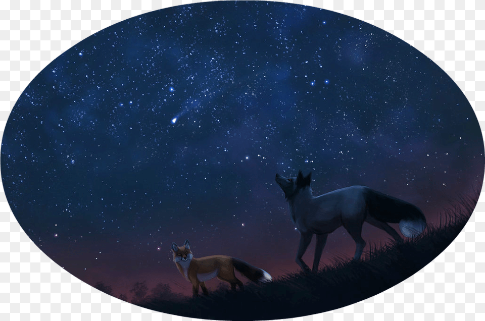 Outdoors, Night, Nature, Starry Sky Png Image