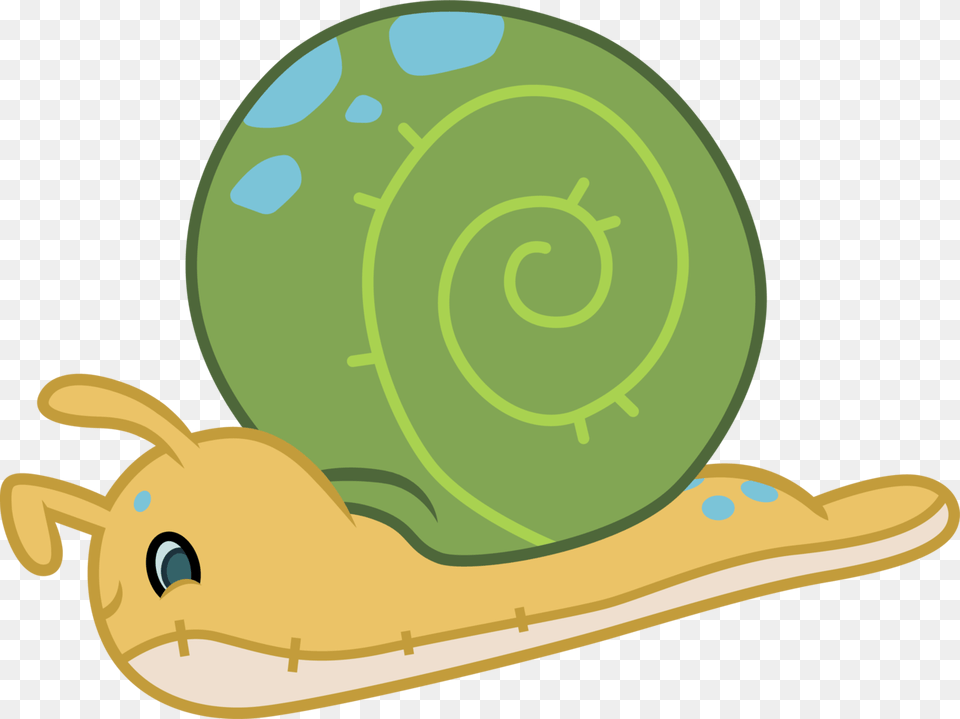 Animal, Invertebrate, Snail Png Image