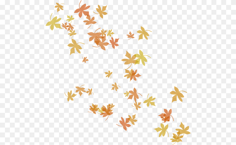 Image, Leaf, Plant, Tree Png