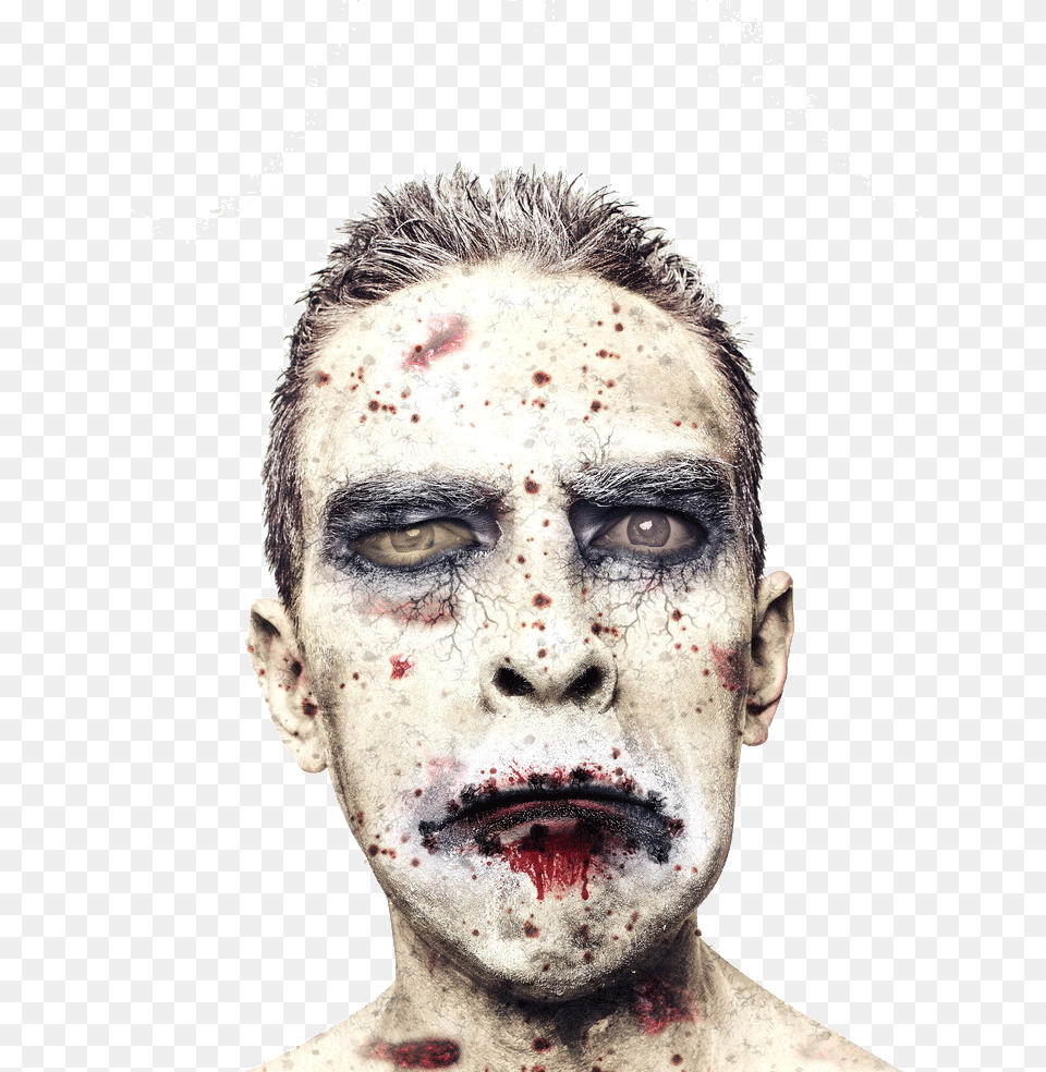 Image, Adult, Face, Head, Male Free Png Download