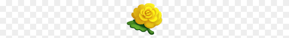 Flower, Plant, Rose, Petal Png Image