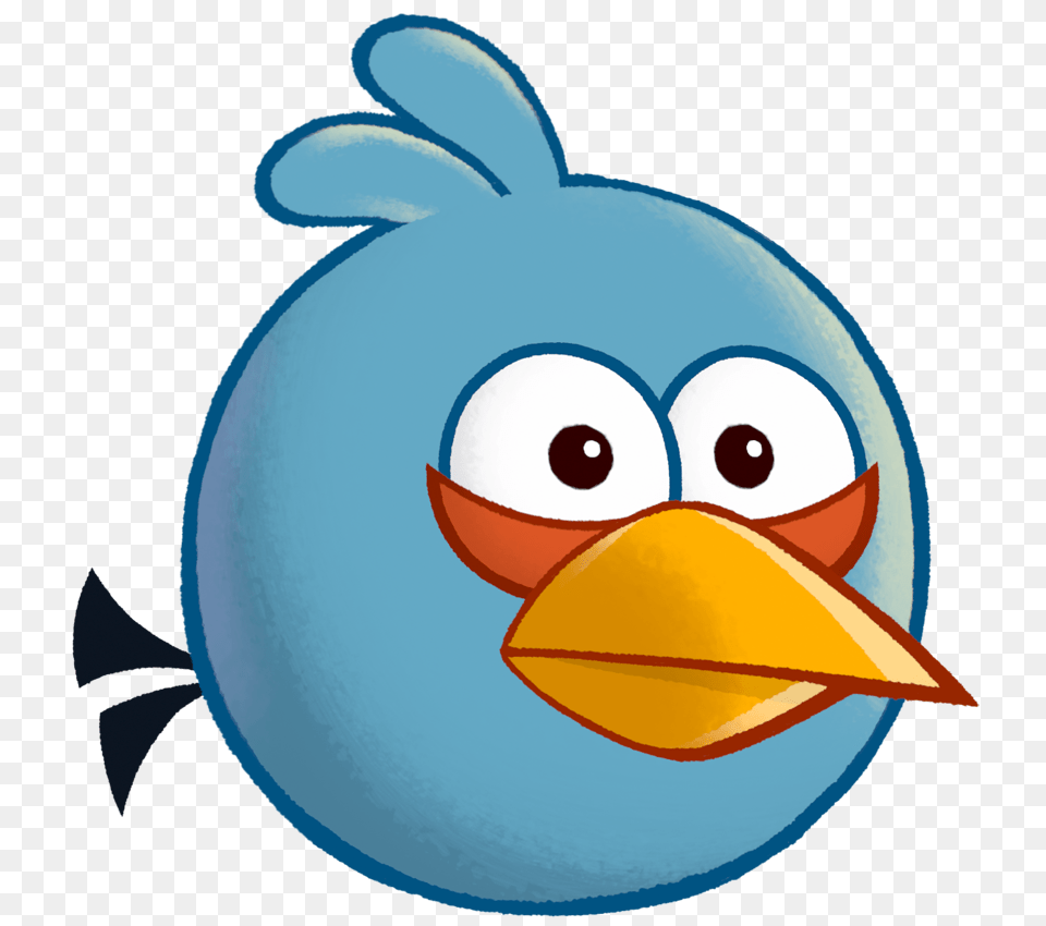 Image, Animal, Beak, Bird Png