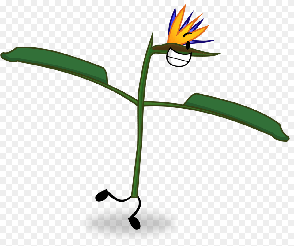 Flower, Plant, Petal, Leaf Png Image