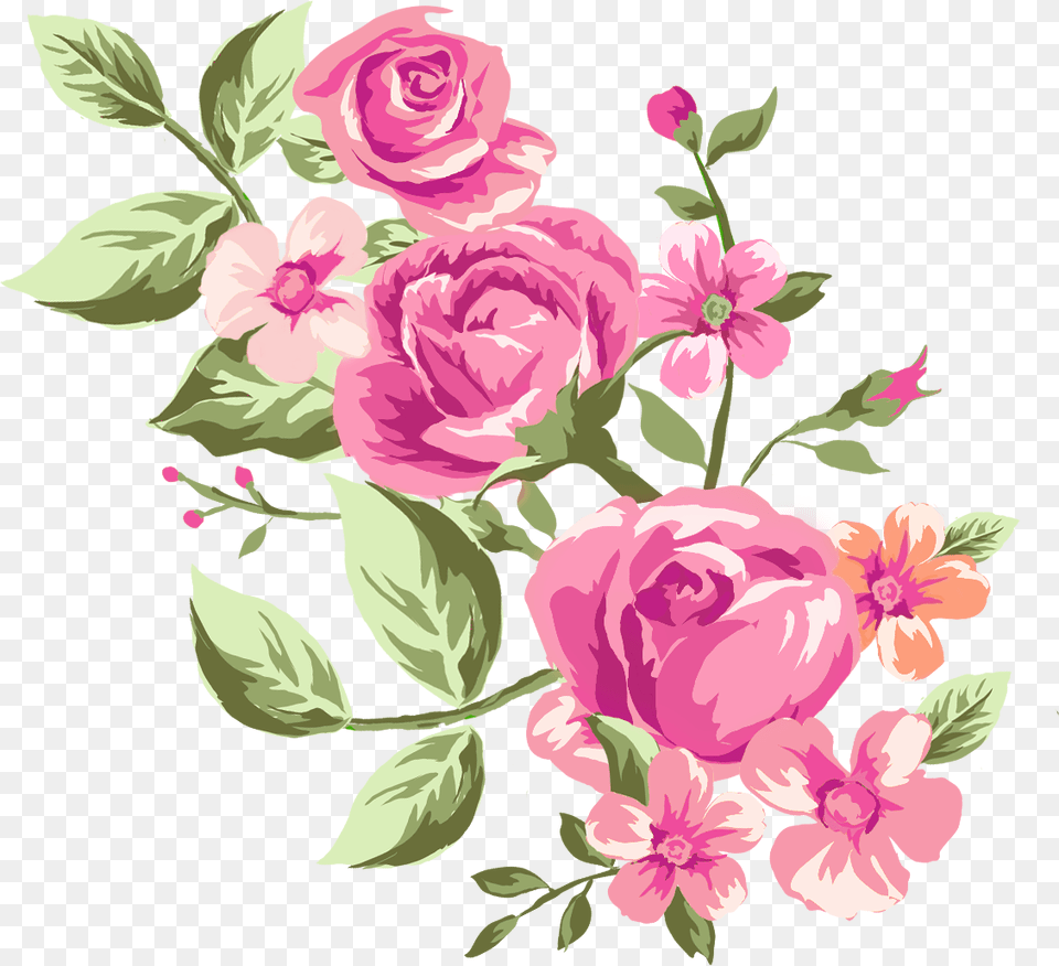 Art, Floral Design, Graphics, Pattern Png Image