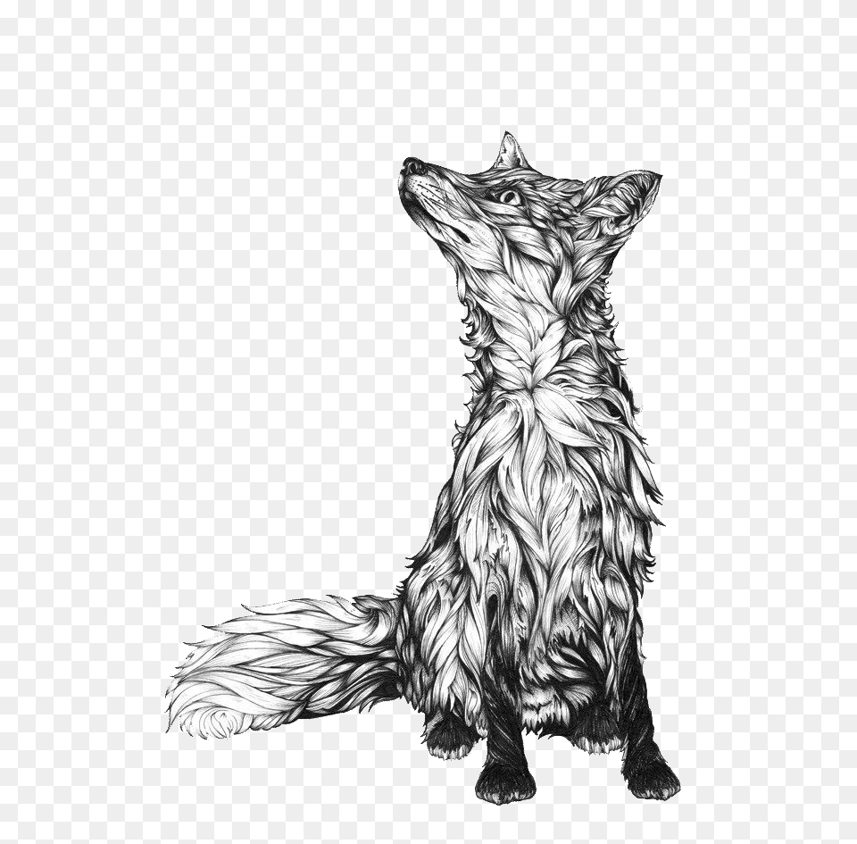 Image, Art, Drawing, Animal, Cat Free Png Download