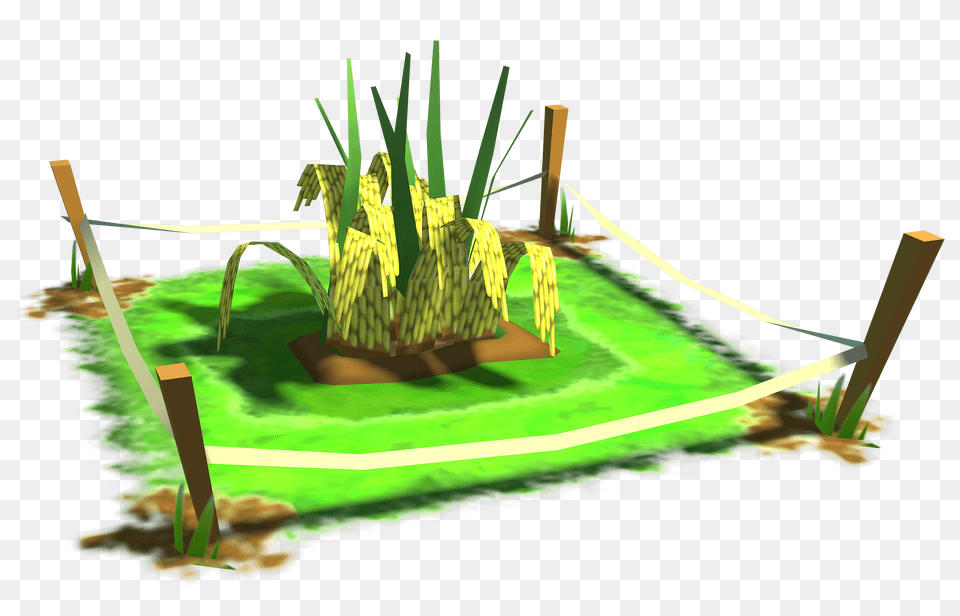 Image, Grass, Plant, Potted Plant, Lawn Free Transparent Png