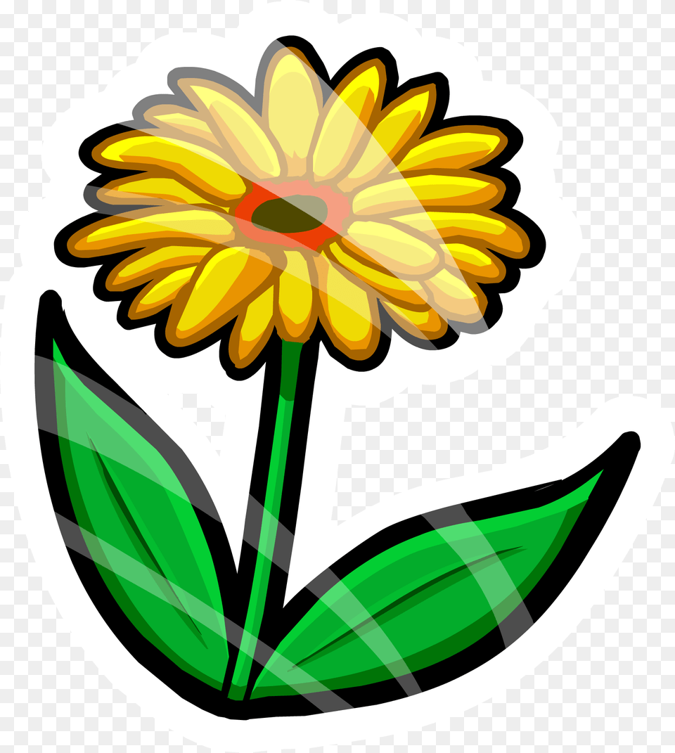 Image, Daisy, Flower, Plant, Dahlia Free Transparent Png