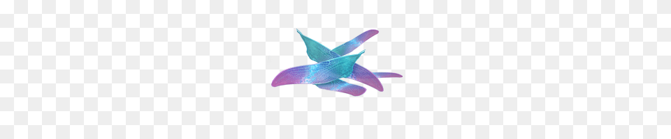 Image, Animal, Fish, Sea Life, Shark Free Transparent Png