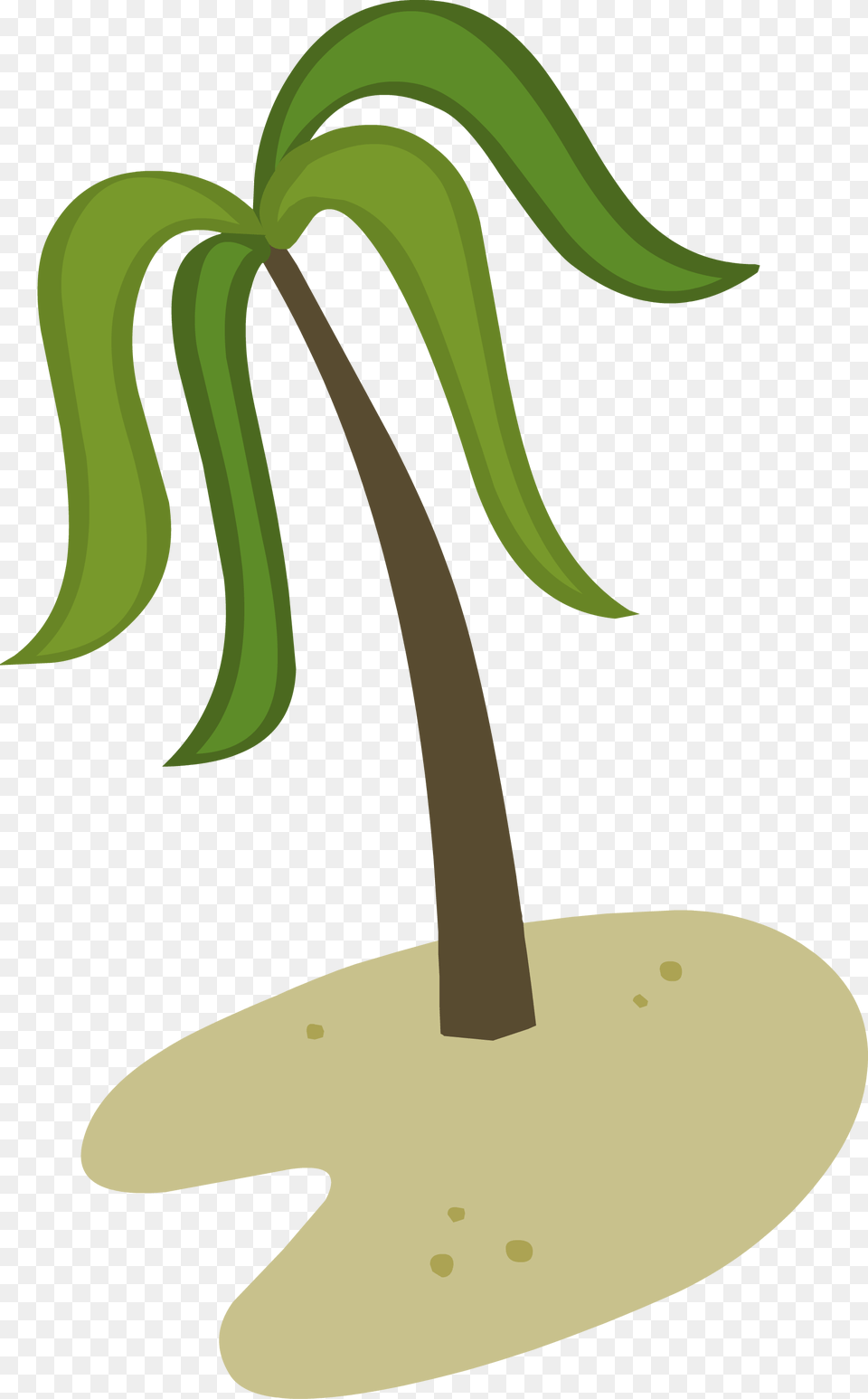 Image, Palm Tree, Plant, Tree, Leaf Png