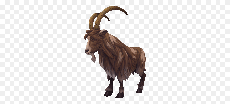 Livestock, Animal, Mammal, Goat Png Image