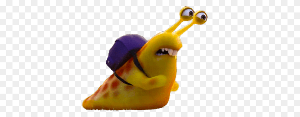 Animal, Bird Png Image