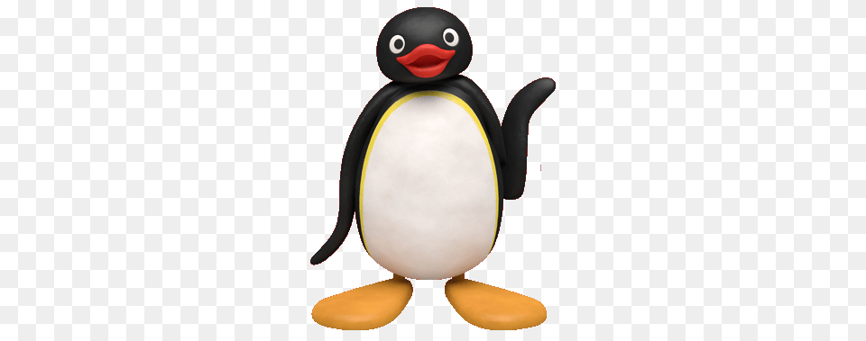 Image, Animal, Bird, Penguin, King Penguin Png